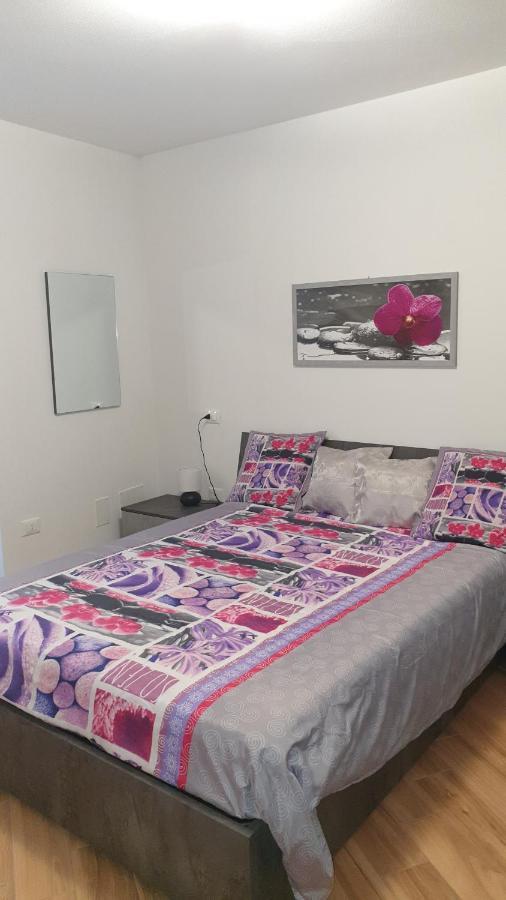 Casa Ramus Valle Camonica A 30 Km Dal Passo Tonale Edolo Kültér fotó